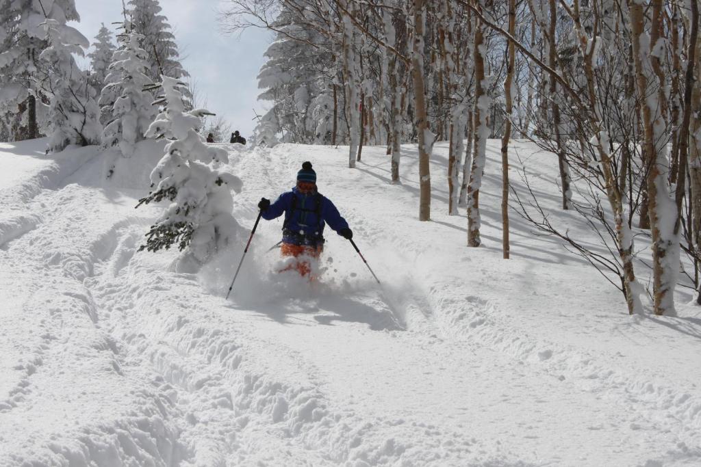 Hotel Aspen Shiga Yamanouchi  Esterno foto