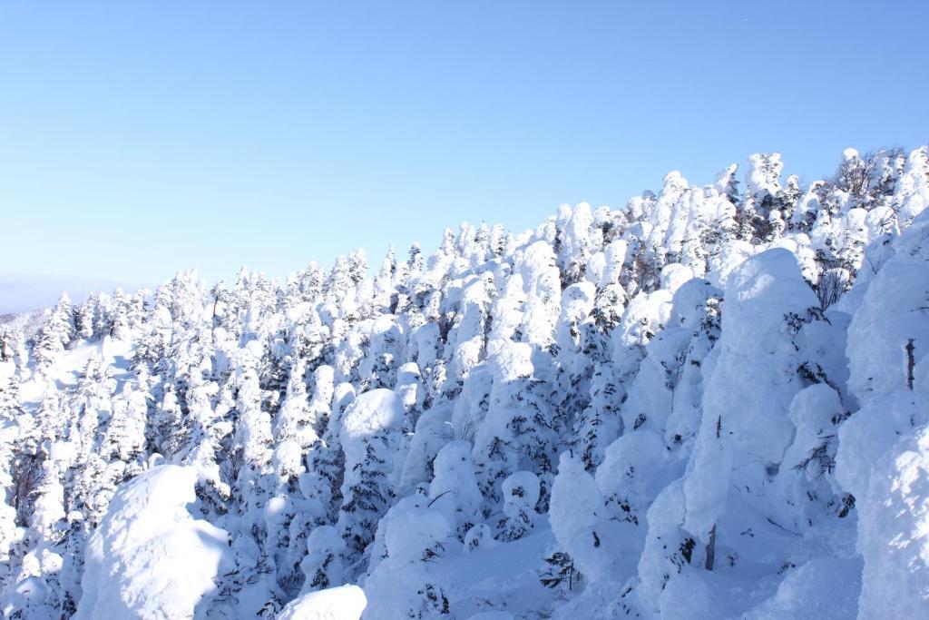 Hotel Aspen Shiga Yamanouchi  Esterno foto