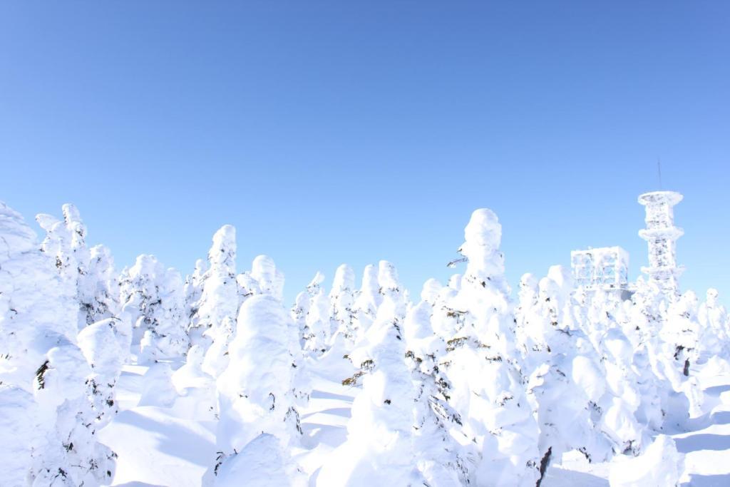 Hotel Aspen Shiga Yamanouchi  Esterno foto