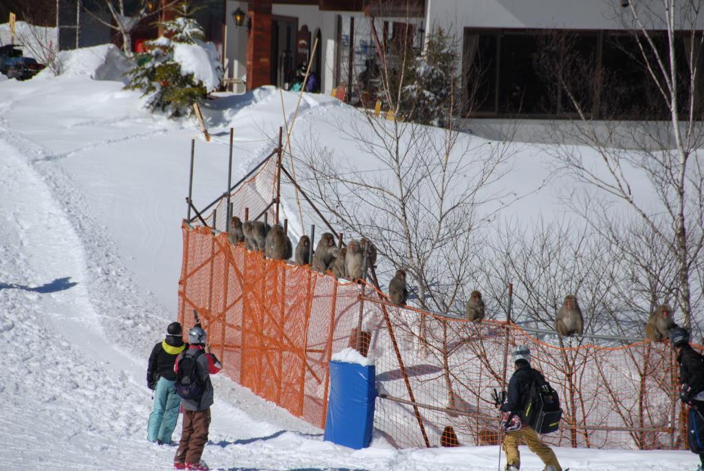 Hotel Aspen Shiga Yamanouchi  Esterno foto